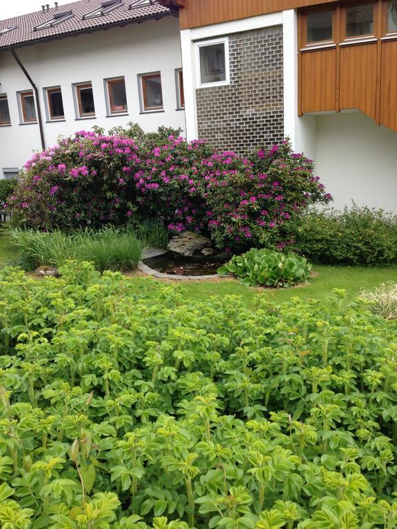 Sapia Hotel St. Fridolin Bad Säckingen Kültér fotó